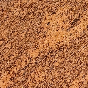 Kalifornia Giallo
