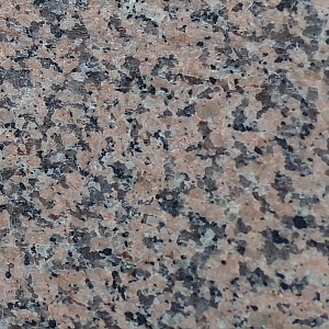 Rosa Porinjo