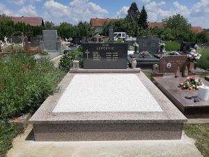 Rosa_Porinjo_01.jpg