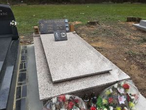 Rosa_Porinjo_03.jpg